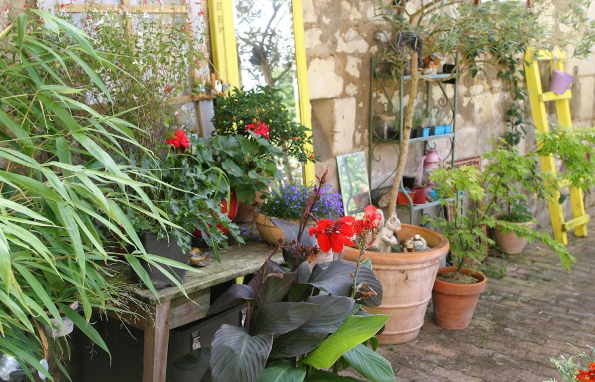 Les Petites Mirabelles Noyers-sur-Cher Exterior foto